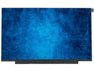 Matryca LCD wyświetlacz 14" FHD 30PIN TN 60Hz Matowa